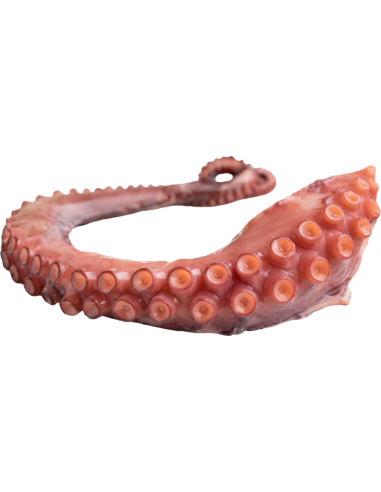 Pulpo 250gr